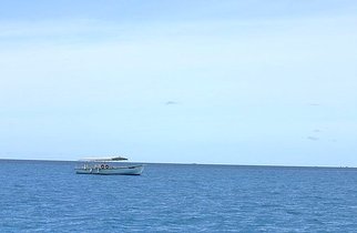 关于秋天天空、田野、山川草木的词语或成语?