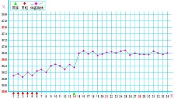 基础体温曲线图