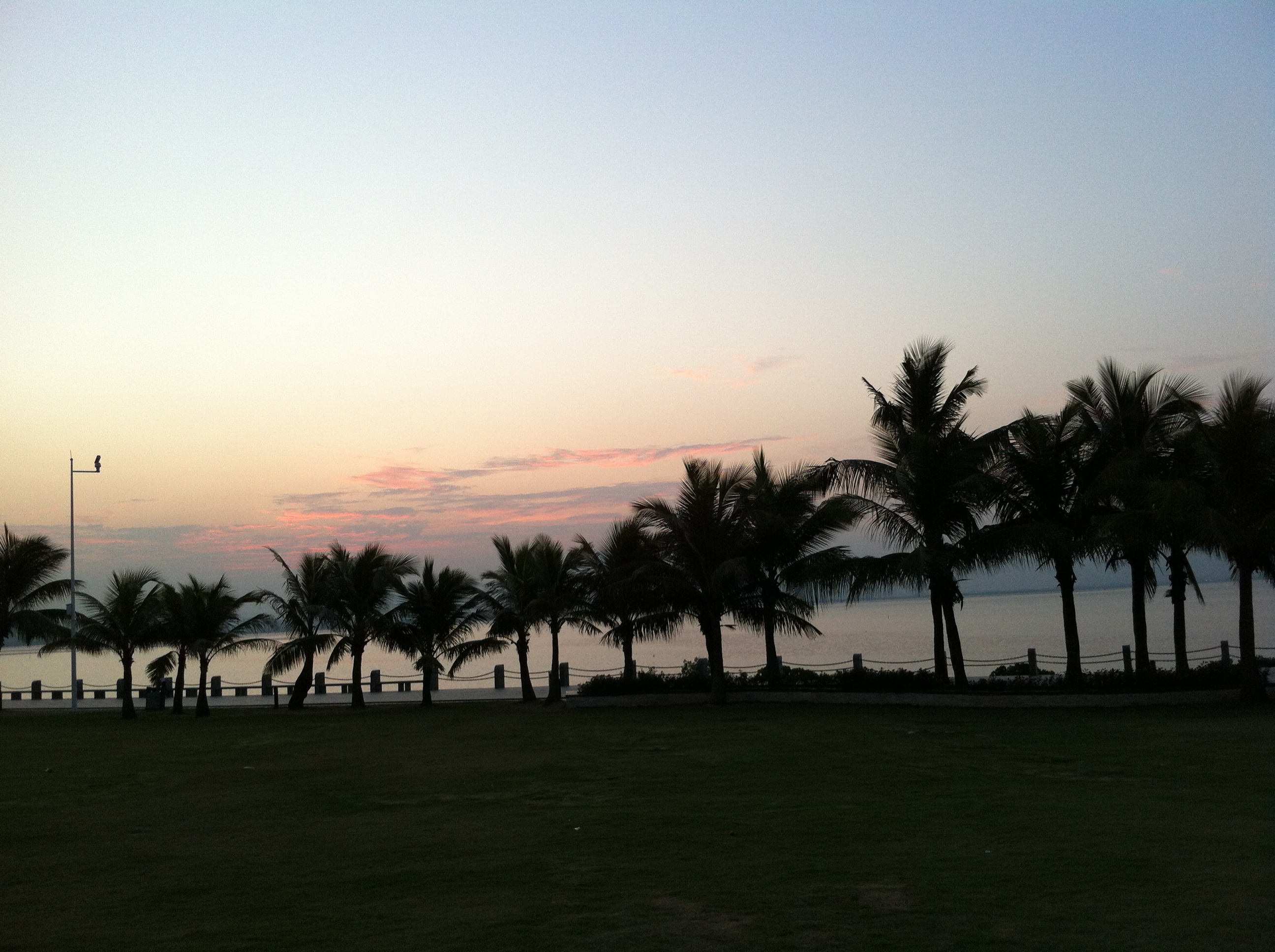 深圳福田红树林保护区正式创建