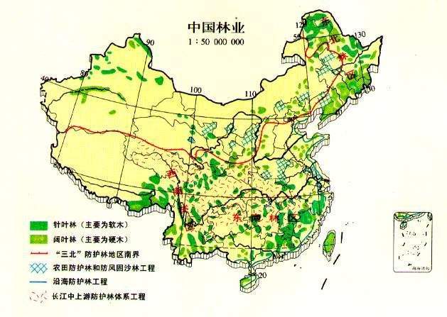 人均森林面积_人均耕地面积图(2)