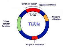 t014ff4bf751bee1cb0.jpg