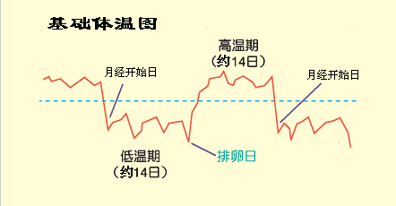 基础体温曲线图_360百科