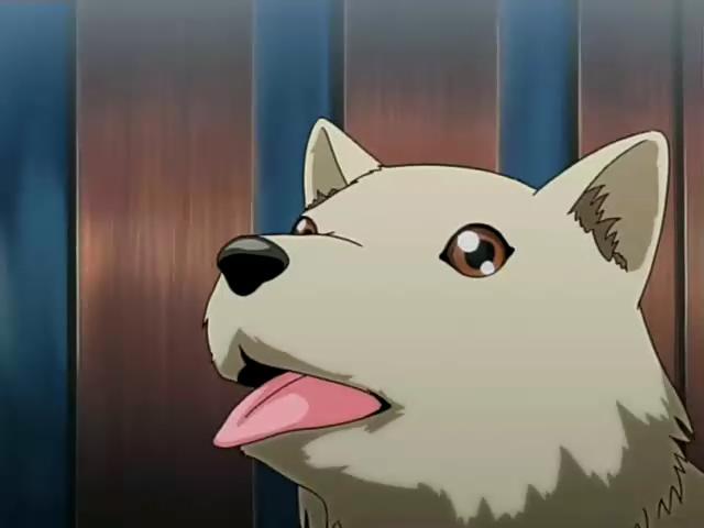 <em>妹汁</em>ova全集<em>电影</em>图片,<em>妹汁</em>快播视频,百度影音