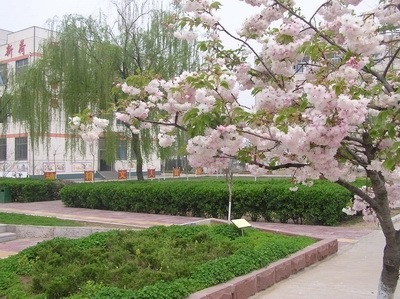 兰山区白沙埠镇gdp_临沂兰山区半程镇美女(2)