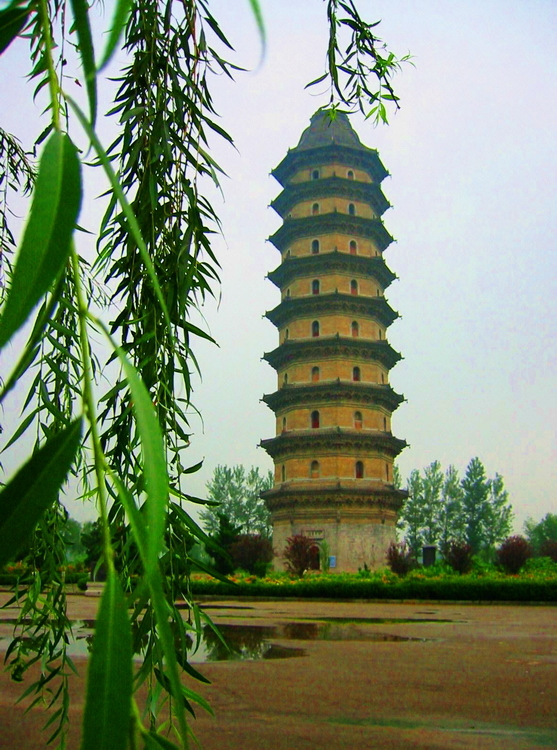 临清人口面积_临清宛园(2)