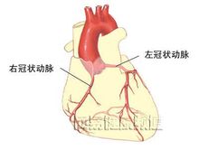t01ef27b24afd8a6098.jpg