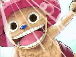 出自:动漫及漫画《海贼王》