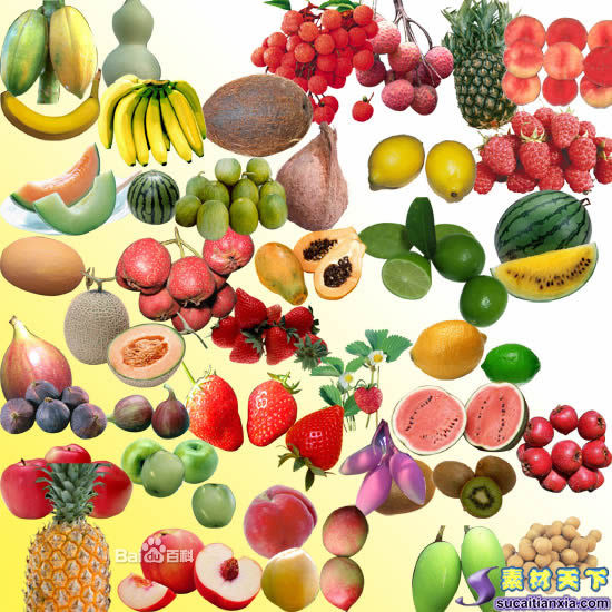 时令水果