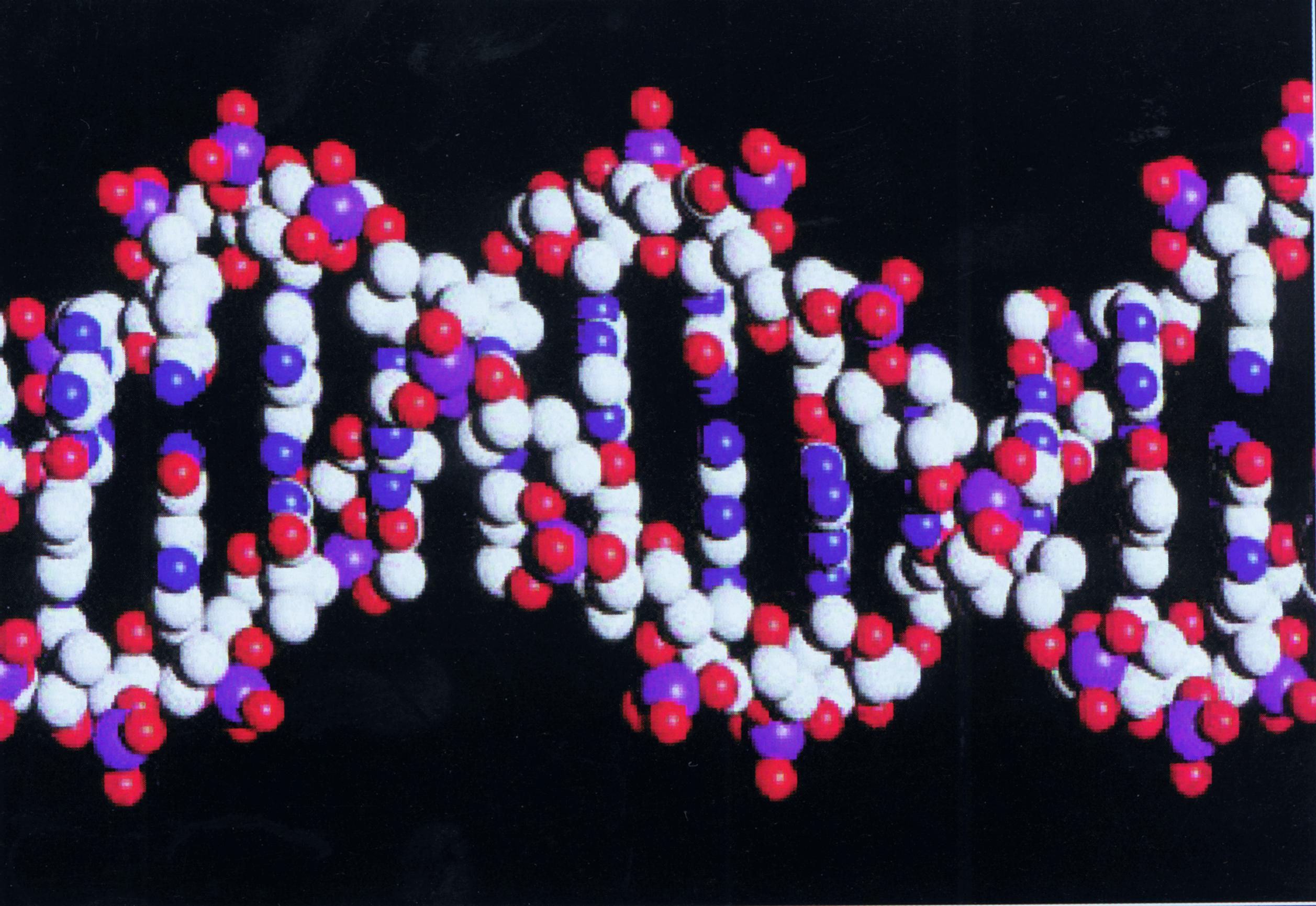 莱德伯格等发现了dna重组技术中广泛应用的噬菌体是大肠杆菌的温和